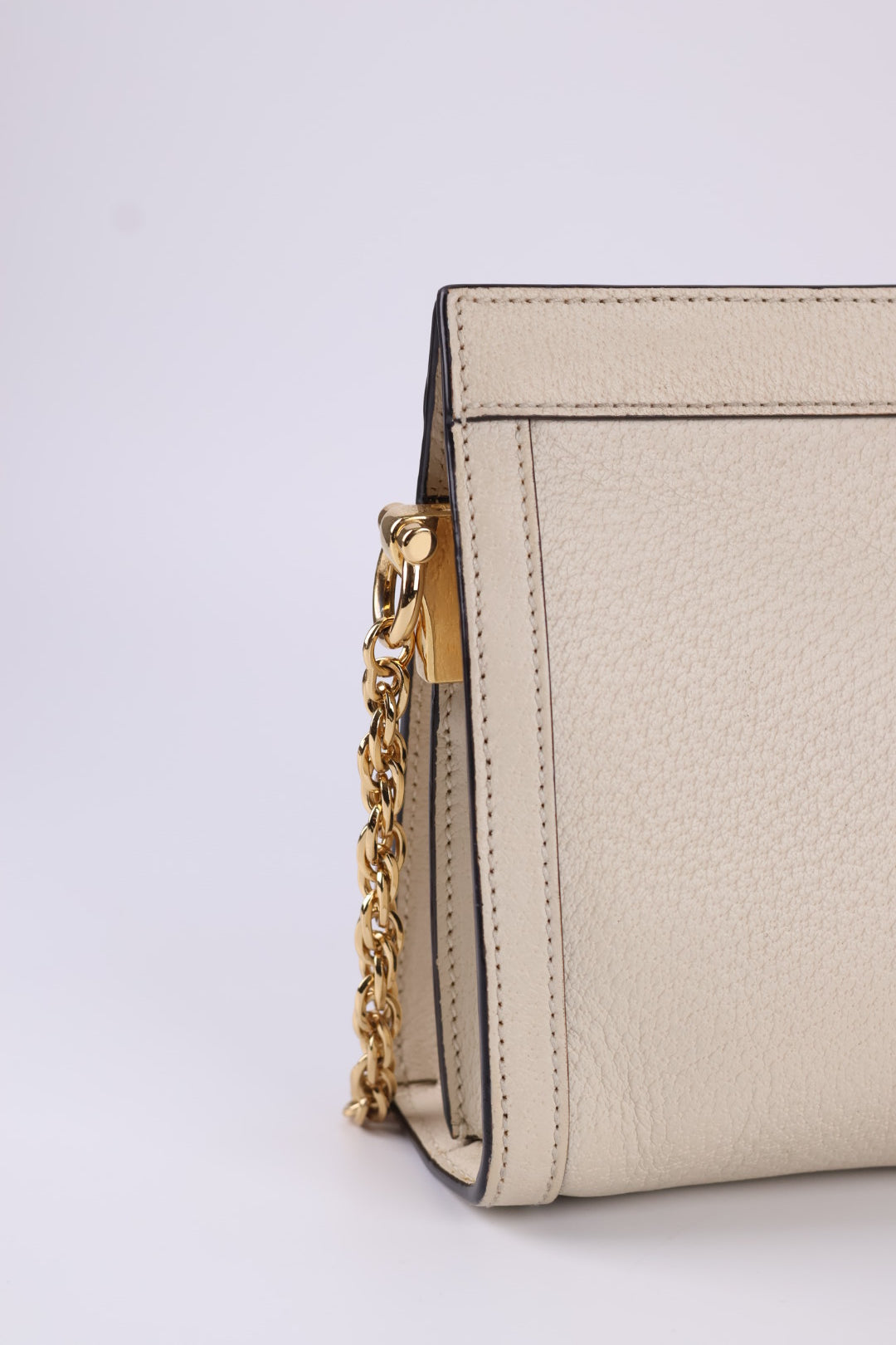 Gucci Ophidia Chain in Pelle