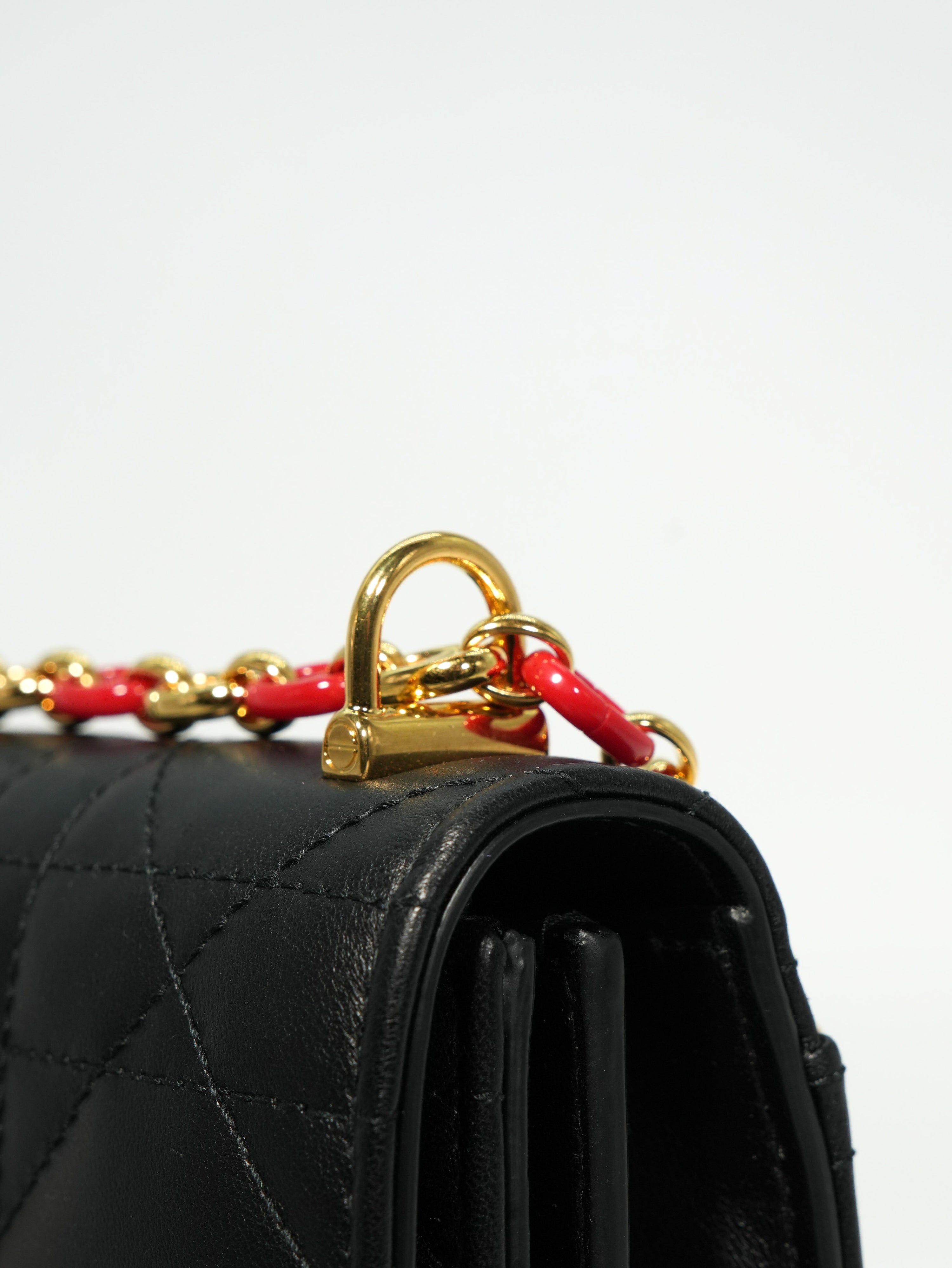 Dior Miss Caro Mini Dioramour