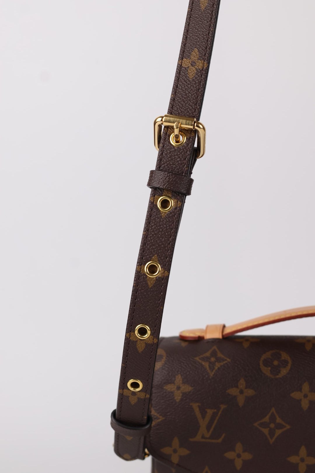 Louis Vuitton Métis Monogram