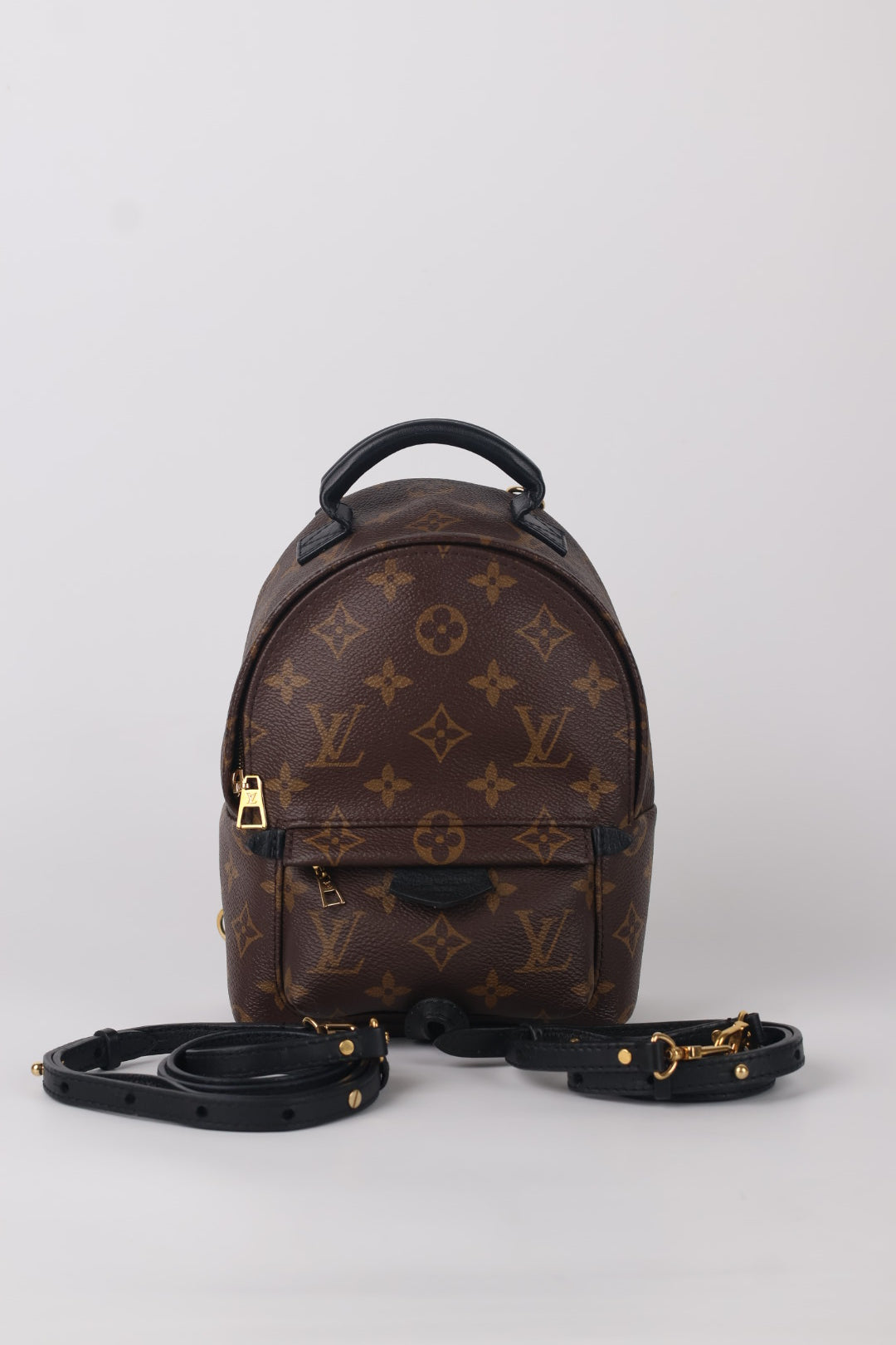 Louis Vuitton Mini Palm Spring