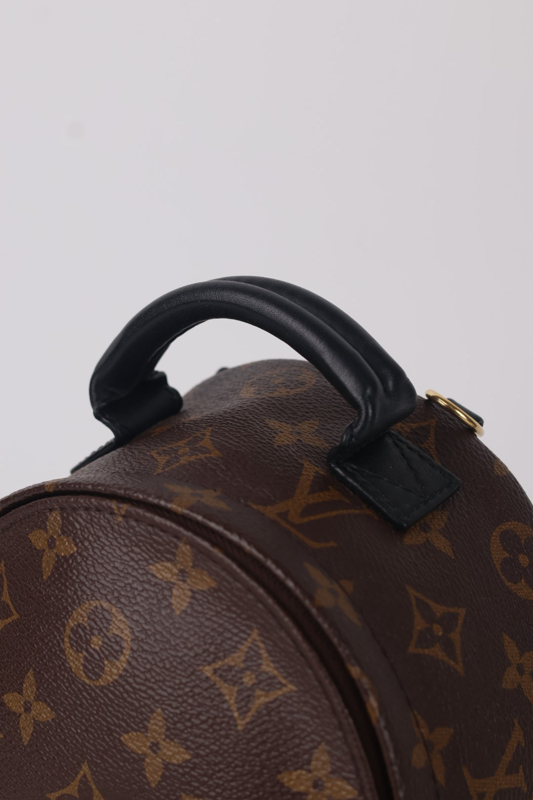 Louis Vuitton Mini Palm Spring