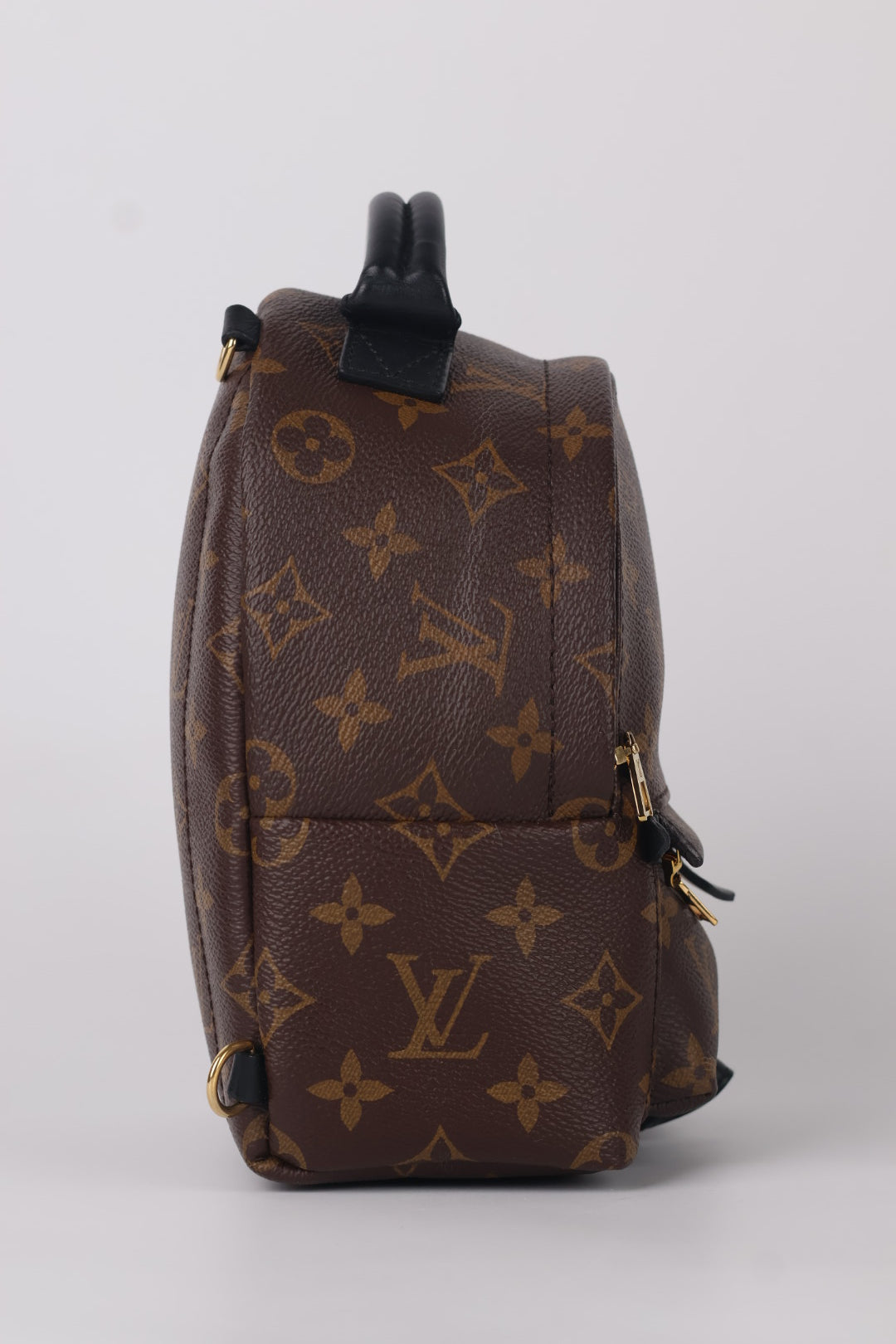 Louis Vuitton Mini Palm Spring