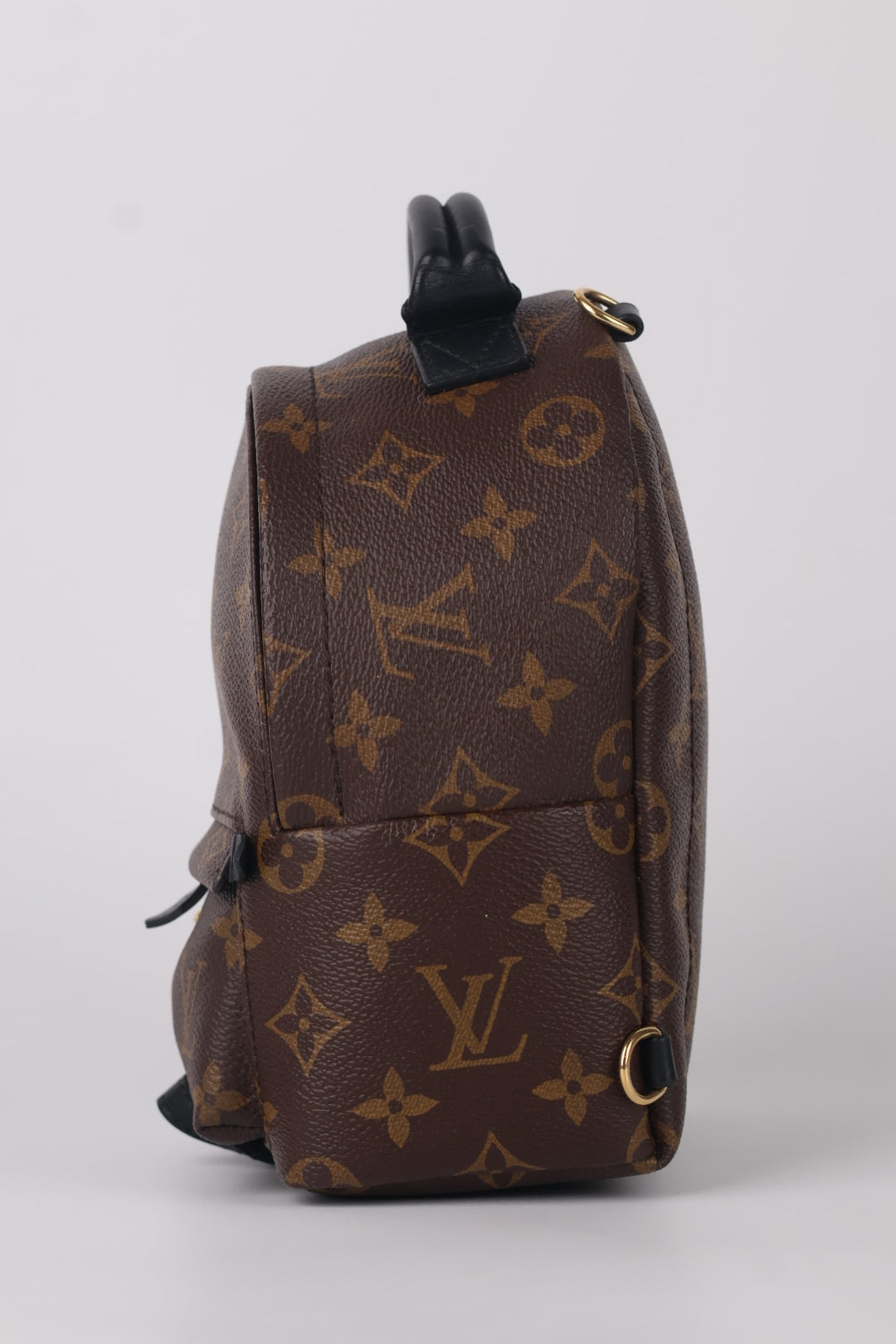 Louis Vuitton Mini Palm Spring