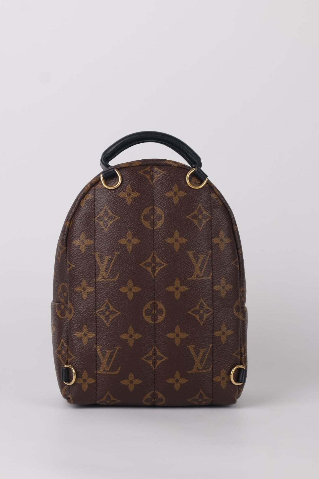 Louis Vuitton Mini Palm Spring