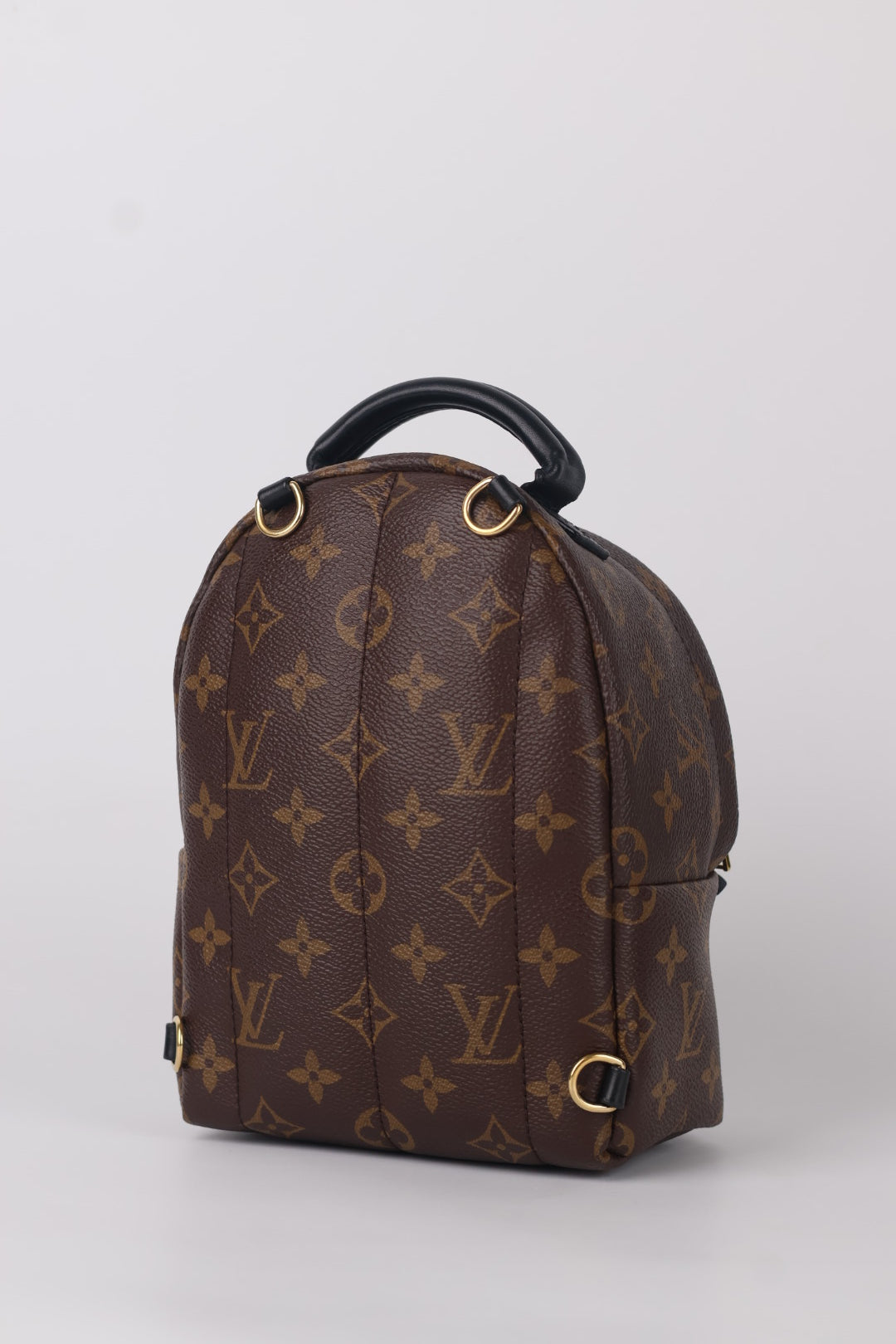 Louis Vuitton Mini Palm Spring