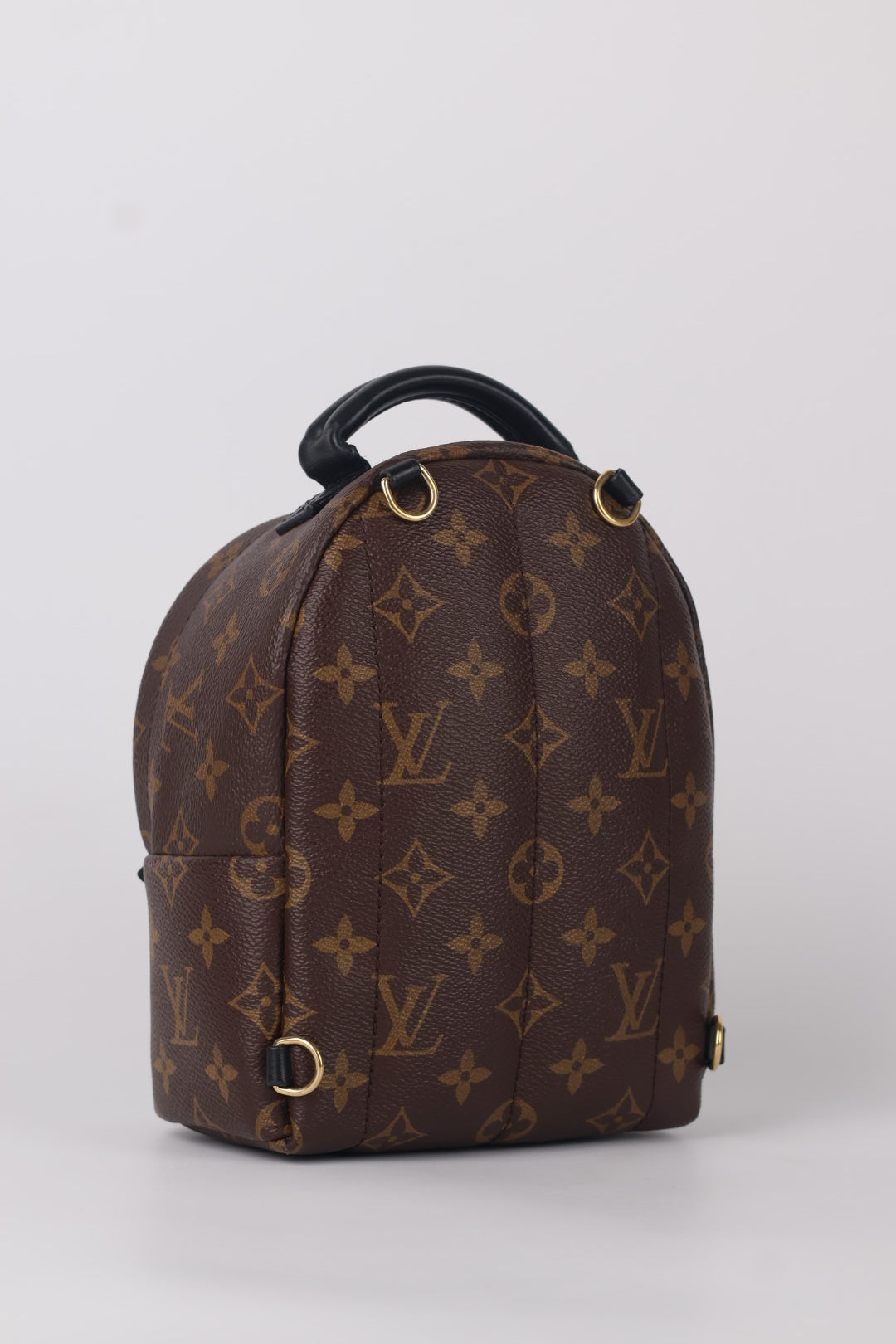 Louis Vuitton Mini Palm Spring