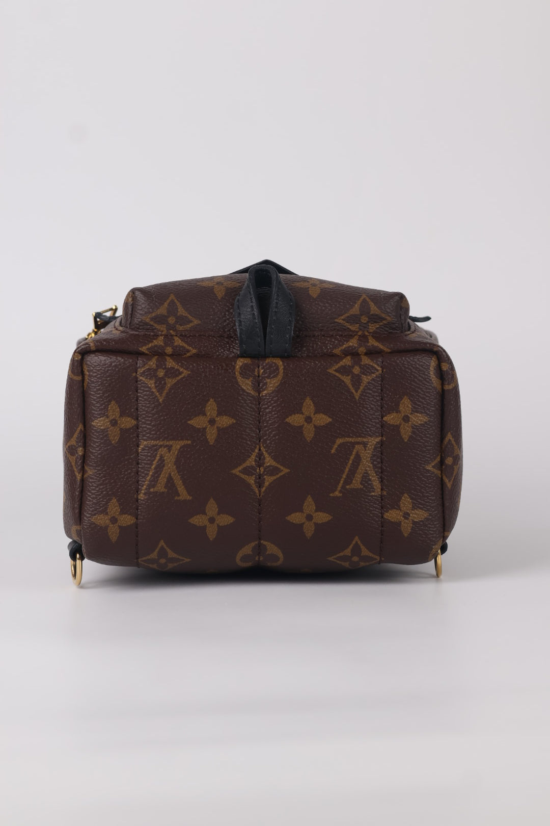 Louis Vuitton Mini Palm Spring