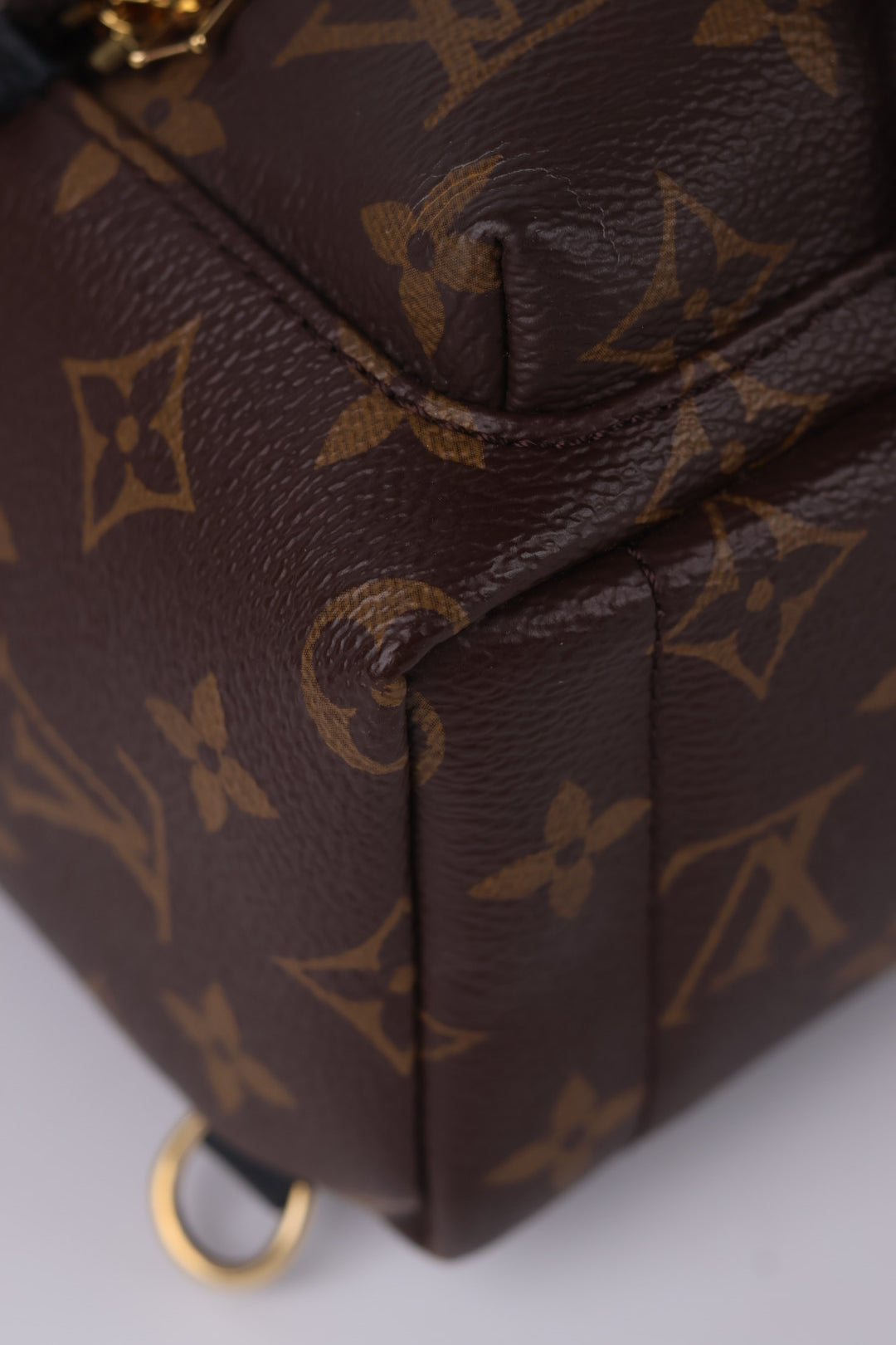 Louis Vuitton Mini Palm Spring