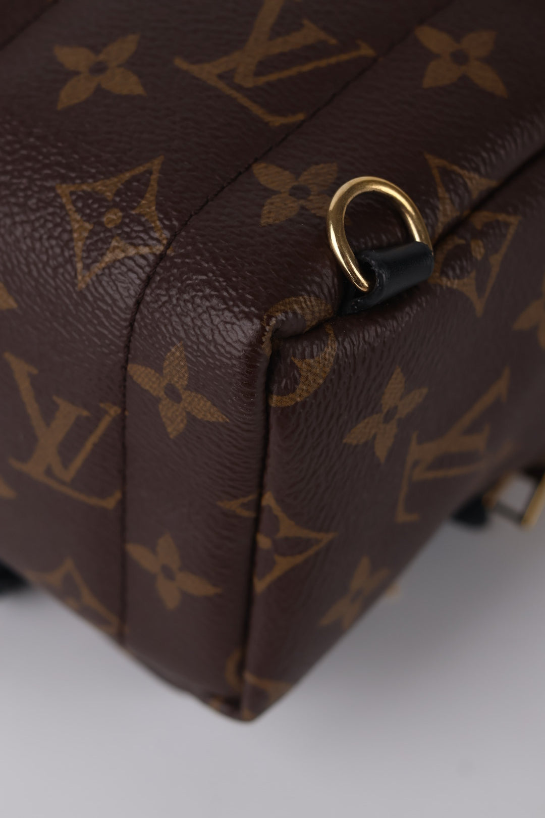 Louis Vuitton Mini Palm Spring