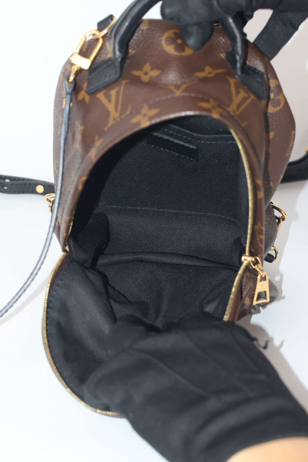 Louis Vuitton Mini Palm Spring