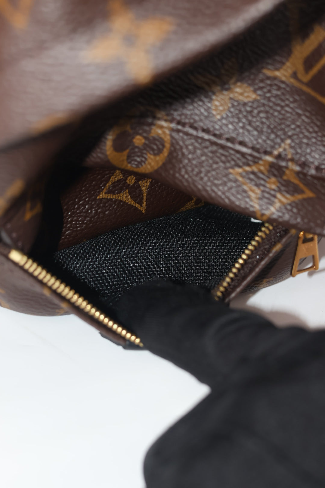 Louis Vuitton Mini Palm Spring